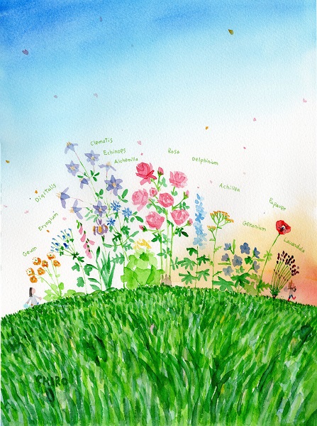 2025オータムフェスティバル、イベント、講座のご案内 | バラの香りを